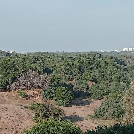 Lara Sahil Ev Apartment